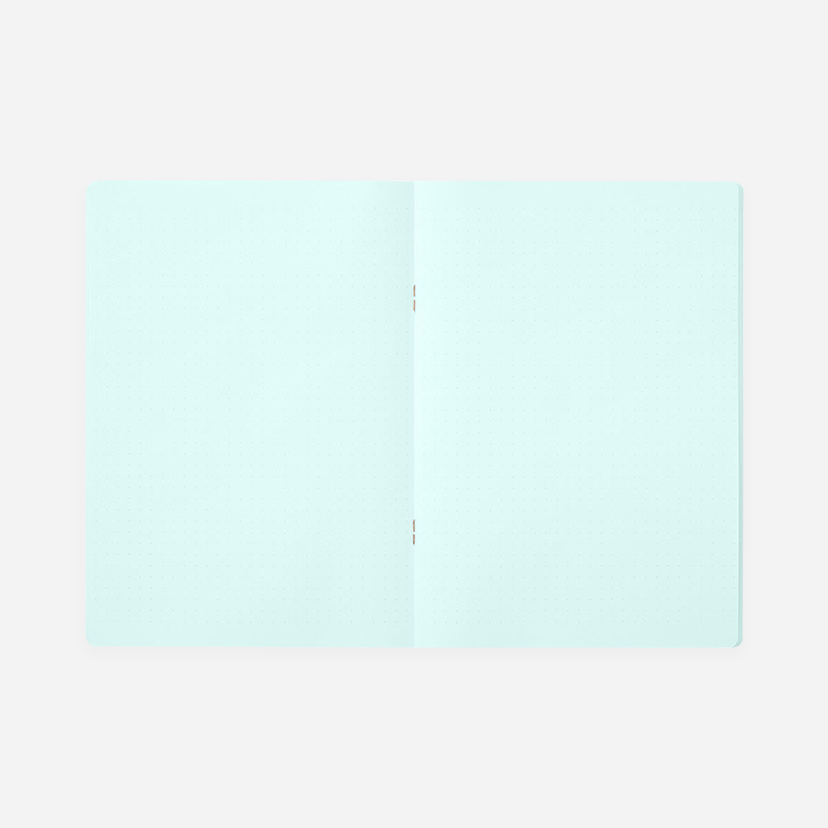 Sąsiuvinis. Color Dot Grid