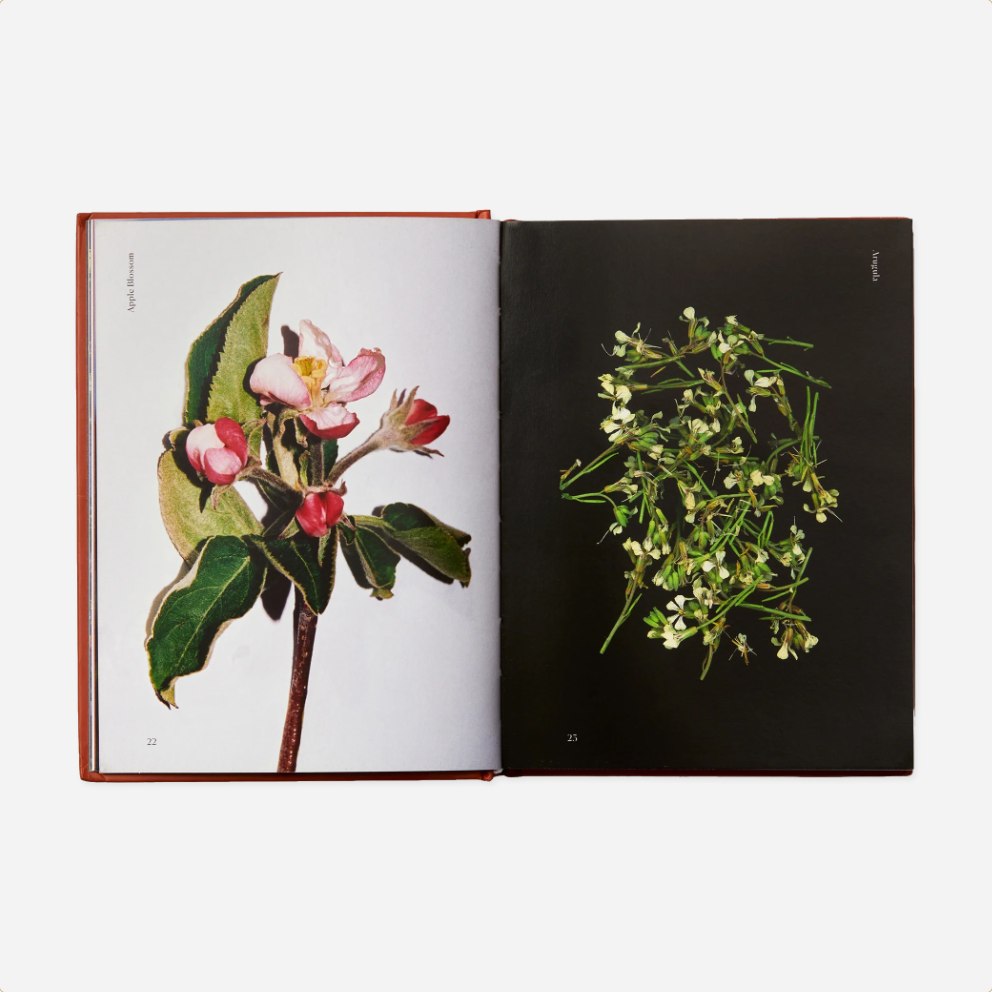 Knyga. Edible Flowers