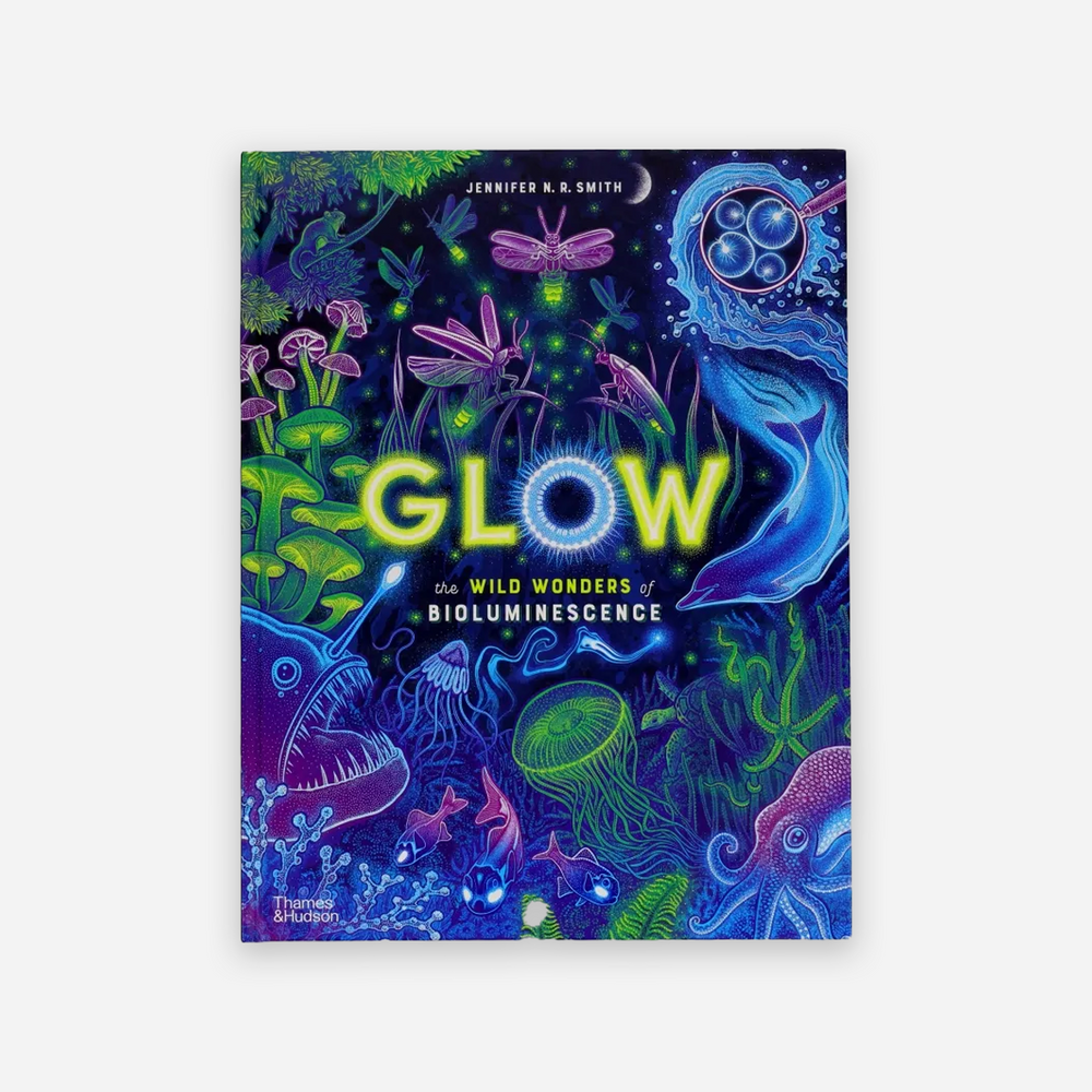 Knyga. Glow