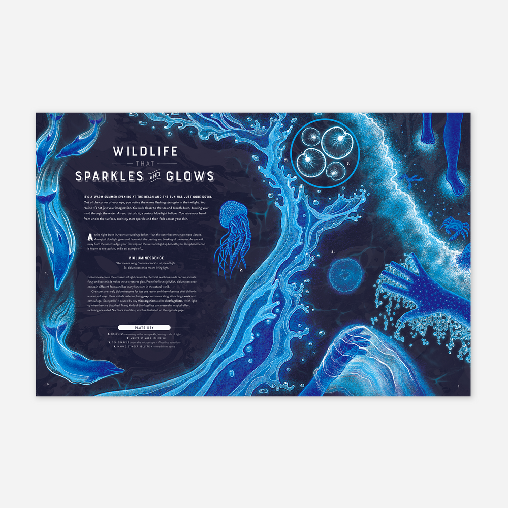 Knyga. Glow