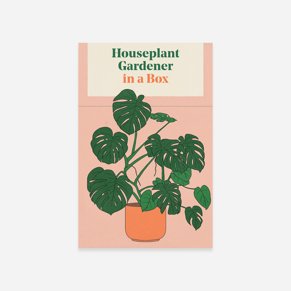 Kortelės. Houseplant Gardener in a Box