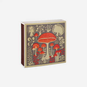 Degtukai. Mushrooms
