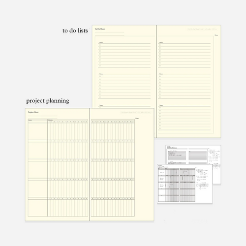 Kalendorinė planuotė. Professional Diary Slim 2027 [Star]
