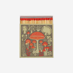 Degtukai. Mushrooms