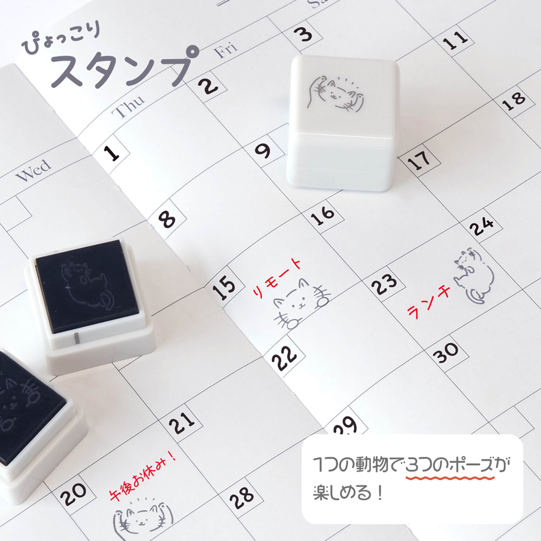 Antspaudas. Pyokkori [Rabbit]