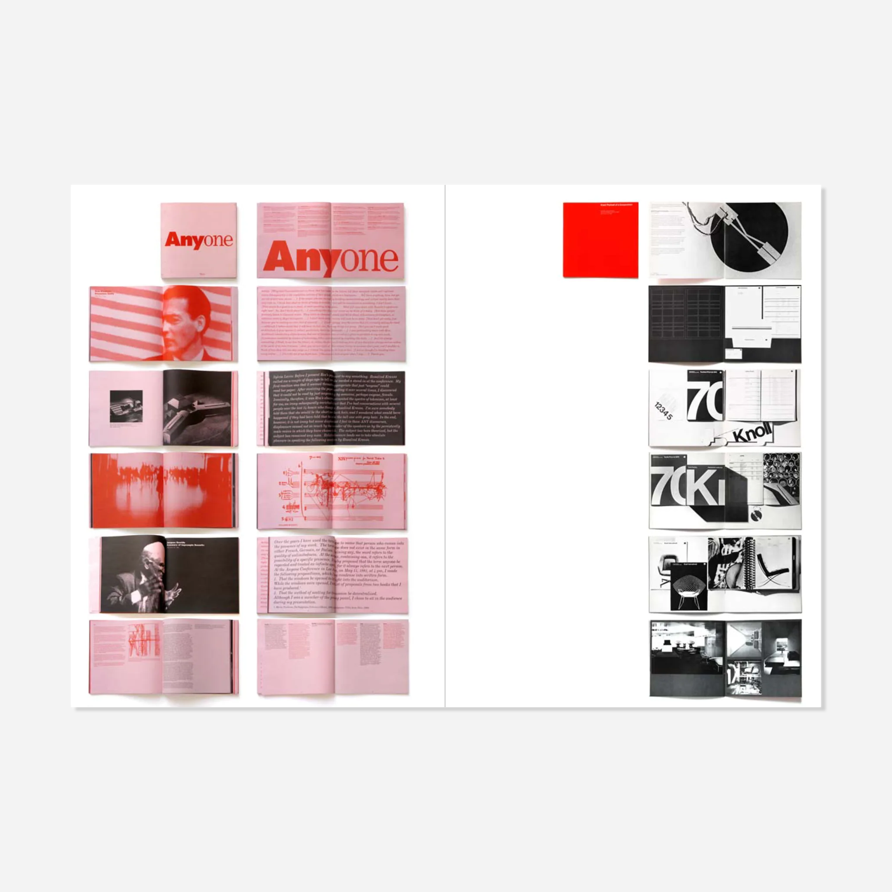 Knyga. The Vignelli Canon