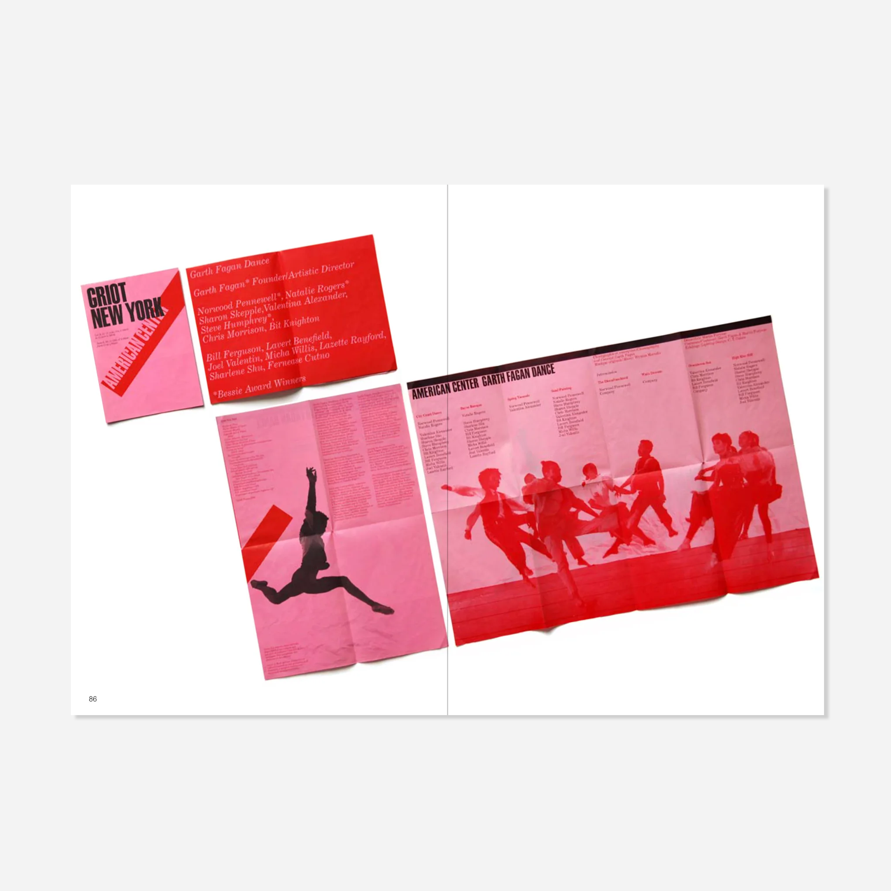 Knyga. The Vignelli Canon