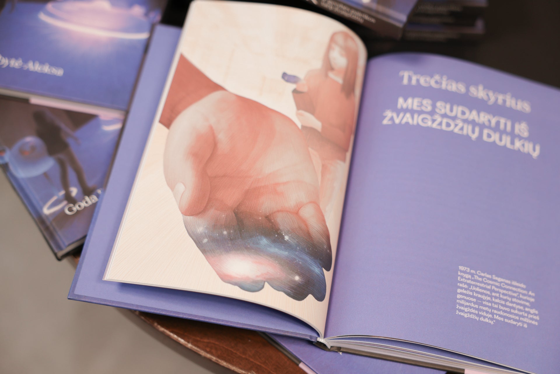 Knyga. Aurora ir gyvybės paieškos tarp žvaigždžių