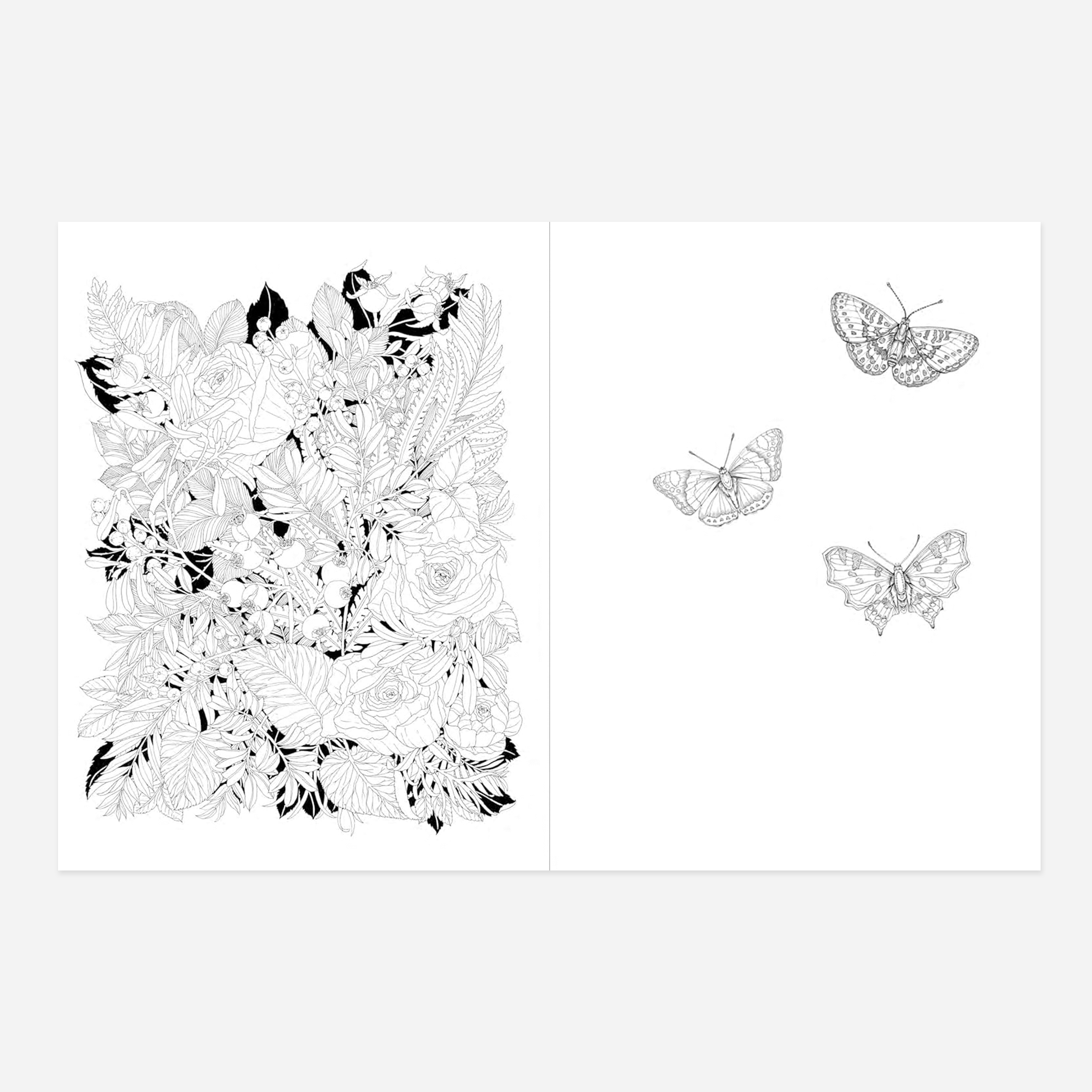 Spalvinimo knyga. Leila Duly's Walk in the Woods