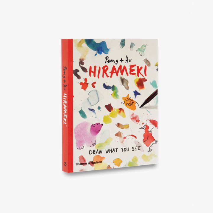 Knyga. Hirameki: Draw What You See