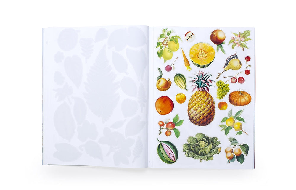 Knyga. Extraordinary Things to Cut Out and Collage