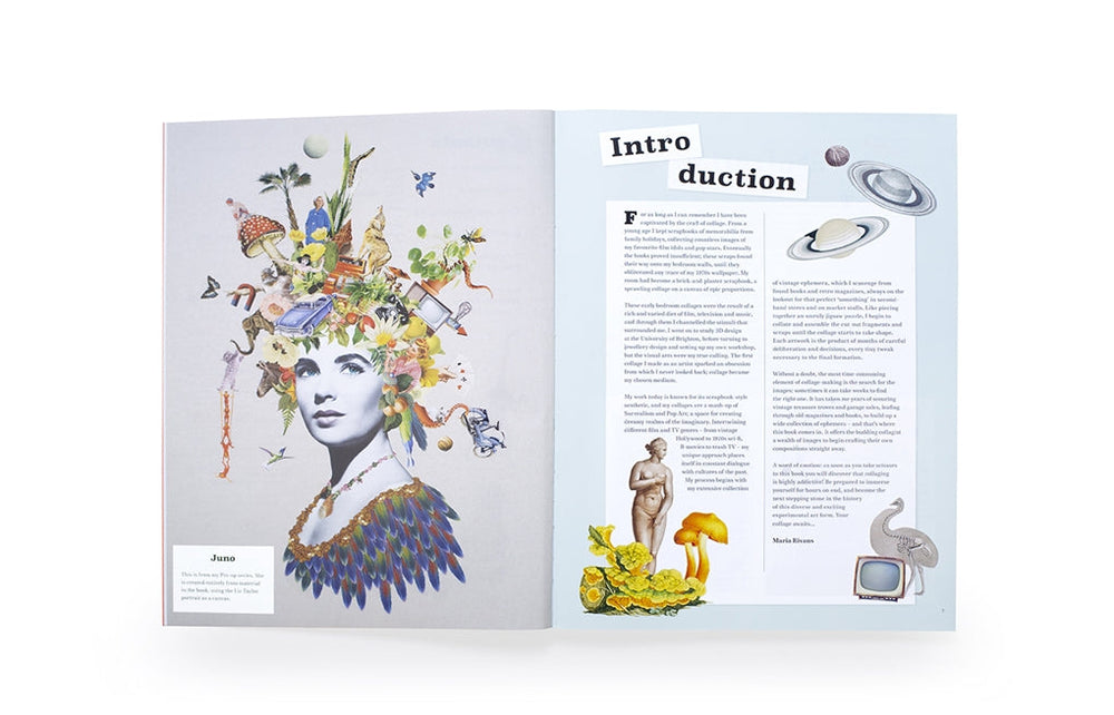 Knyga. Extraordinary Things to Cut Out and Collage