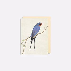 Atvirukas. Swallow