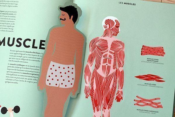 Knyga. Anatomy