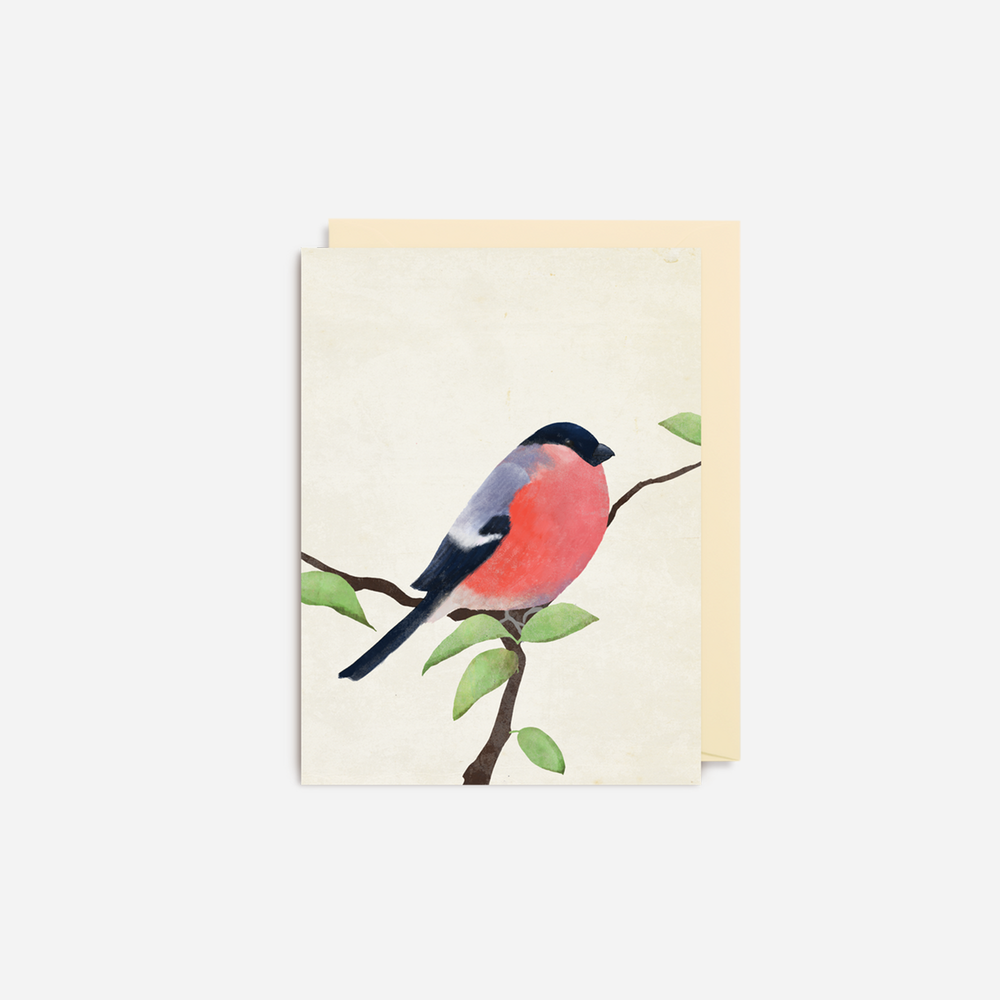 Atvirukas. Bullfinch