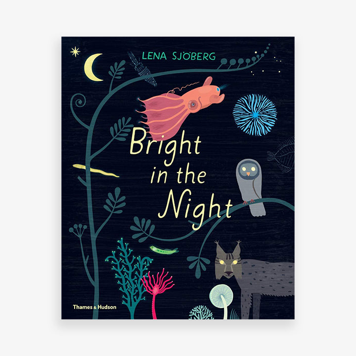 Knyga. Bright in the Night