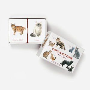 Žaidimas. Cats & Kittens