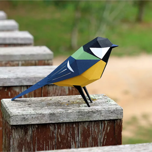 Dėlionė. Parus Major