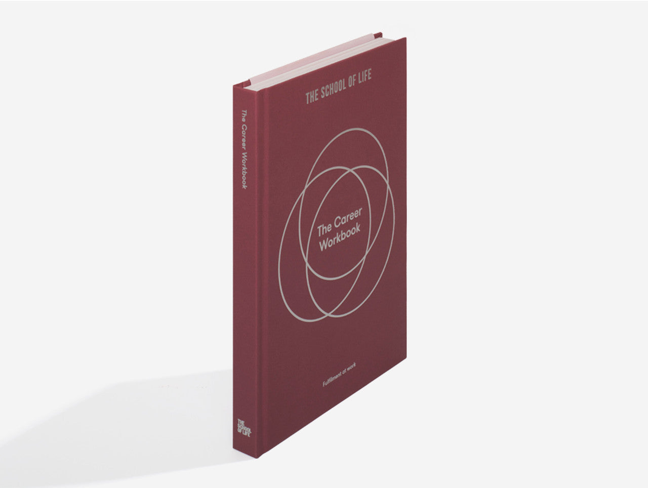 Užduočių knyga. The Career Workbook