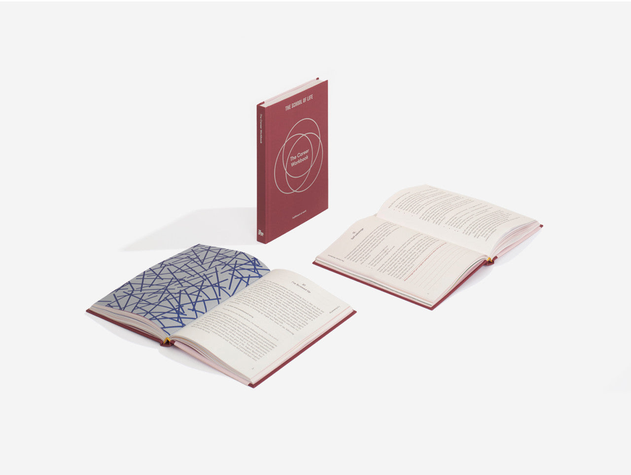 Užduočių knyga. The Career Workbook