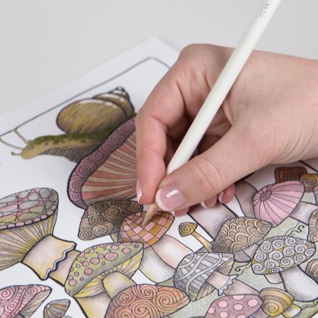 Spalvoti pieštukai. Irojiten Color Dictionary [Rainforest] [30]