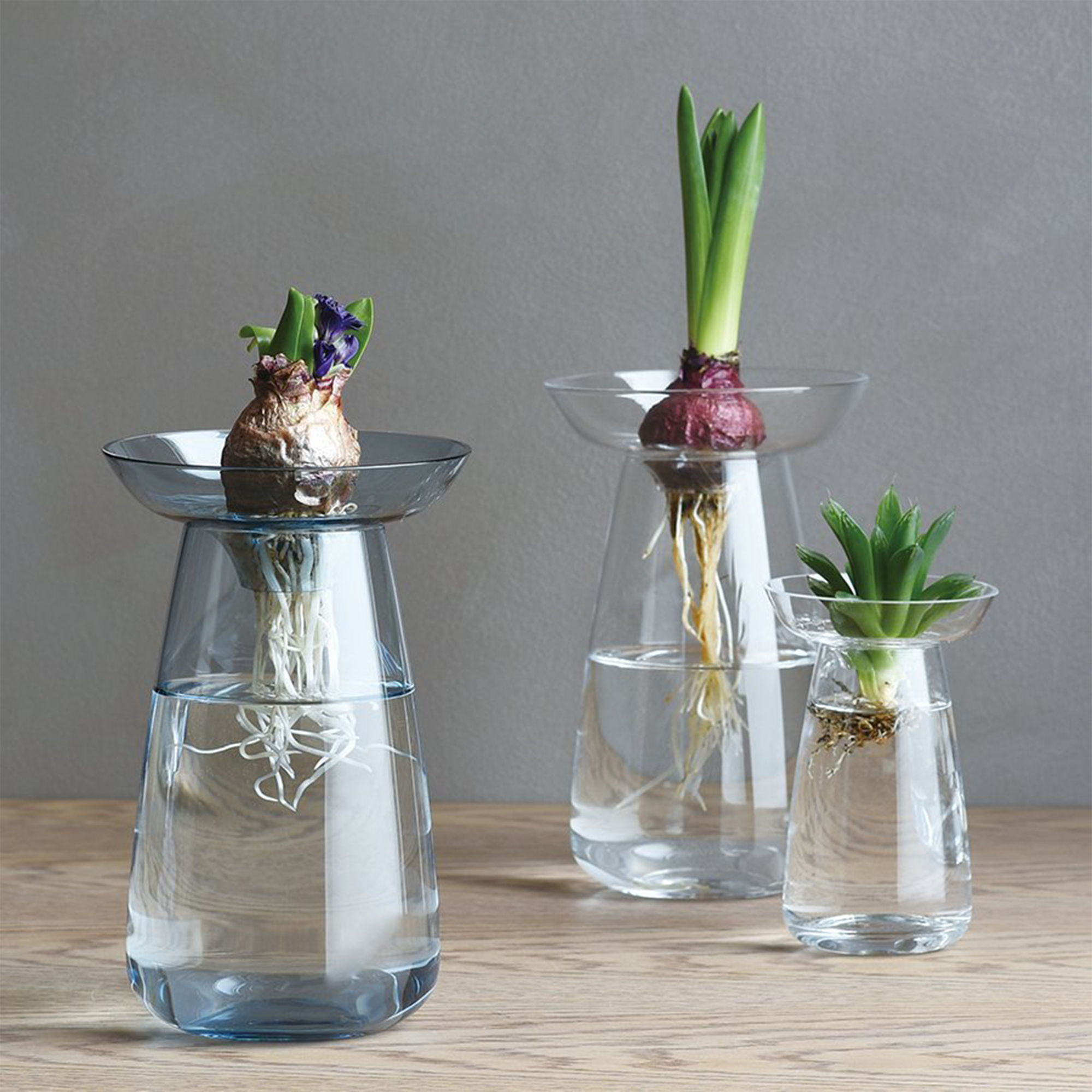 Vaza. AQUA CULTURE VASE Small [Gray]