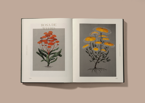 Knyga. Botanical Inspiration: Nature in Art And Illustration