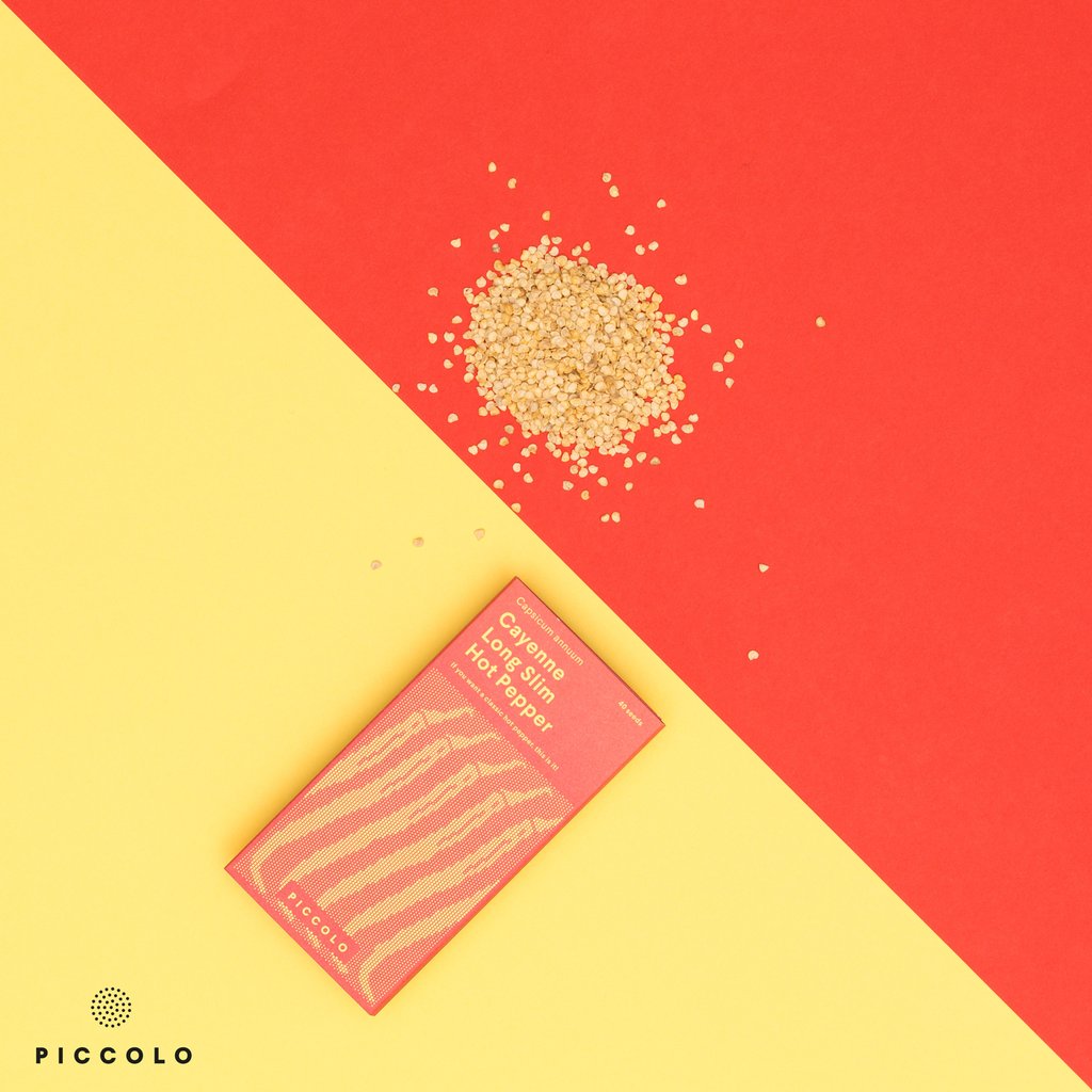 Daržovė. Kajeno pipirai [Cayenne Long Slim]