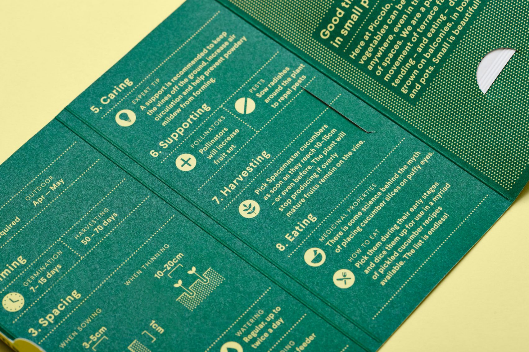 Valgoma gėlė. Ramunėlė [Chamomile Roman]