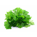 Prieskoninė žolelė. Parsley "Gigante d'Italia"