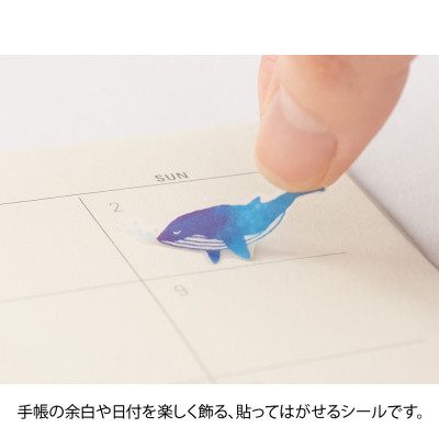 Lipdukai. Color Blue